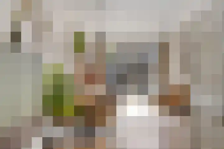 Stormramruwe 18 Maastricht thumbnail 20