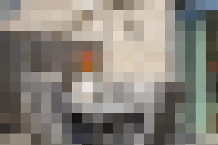 Stormramruwe 18 Maastricht thumbnail 37
