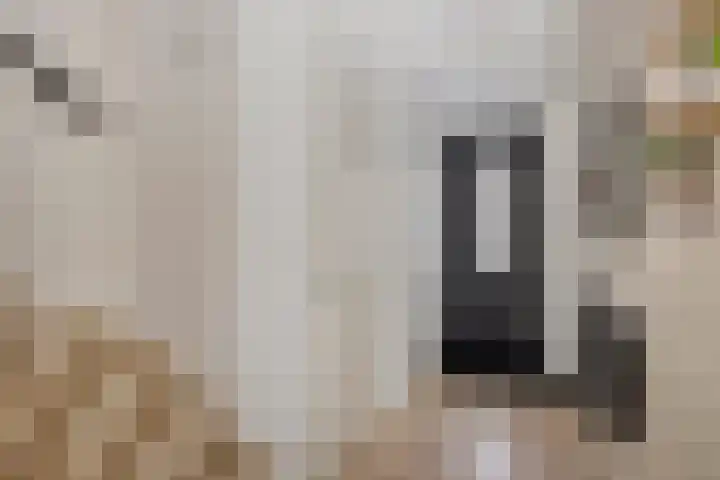 Stormramruwe 18 Maastricht thumbnail 8
