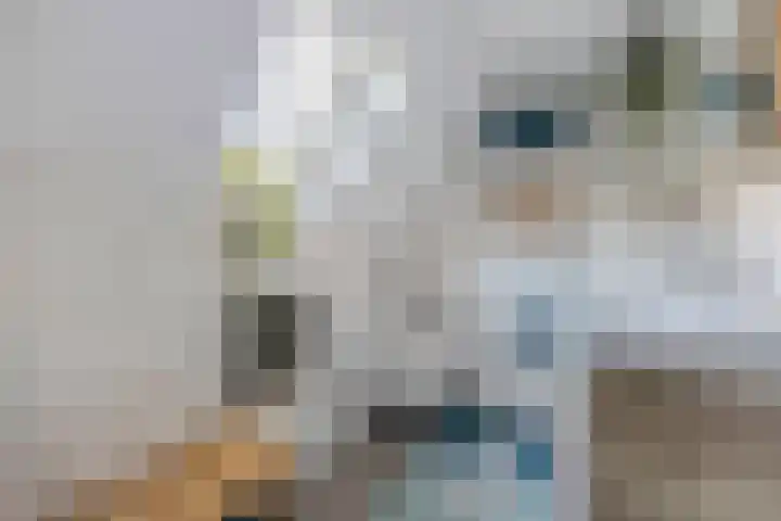 Stormvloed 18 Hoofddorp thumbnail 36