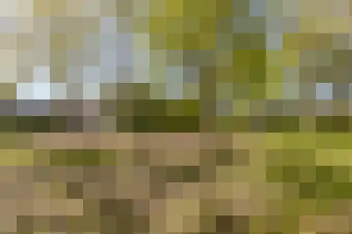 Stormvloed 18 Hoofddorp thumbnail 45