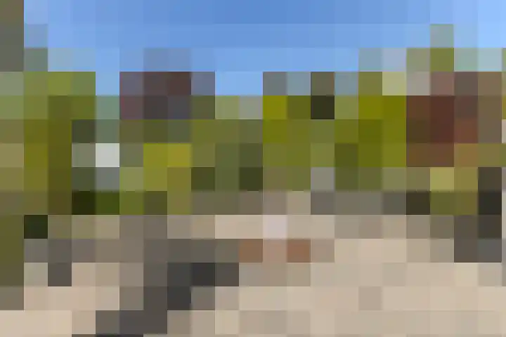 Stormvloed 18 Hoofddorp thumbnail 50