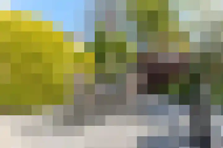 Stormvloed 18 Hoofddorp thumbnail 51