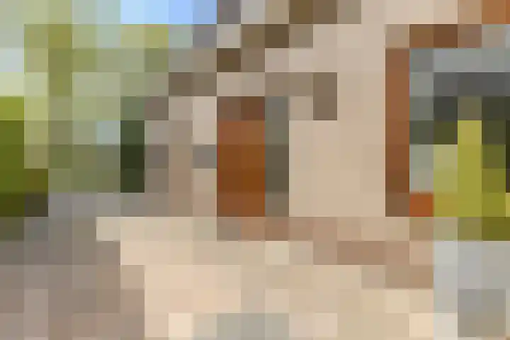 Stormvloed 18 Hoofddorp thumbnail 6