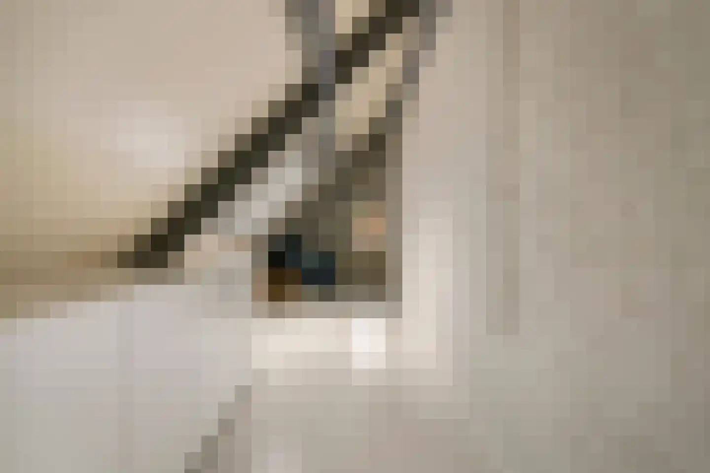 Stormvloed 8 Hoofddorp thumbnail 24