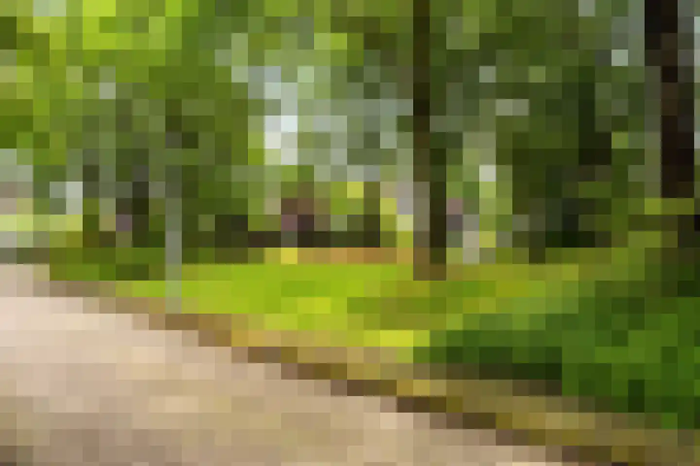 Stormvloed 8 Hoofddorp thumbnail 36