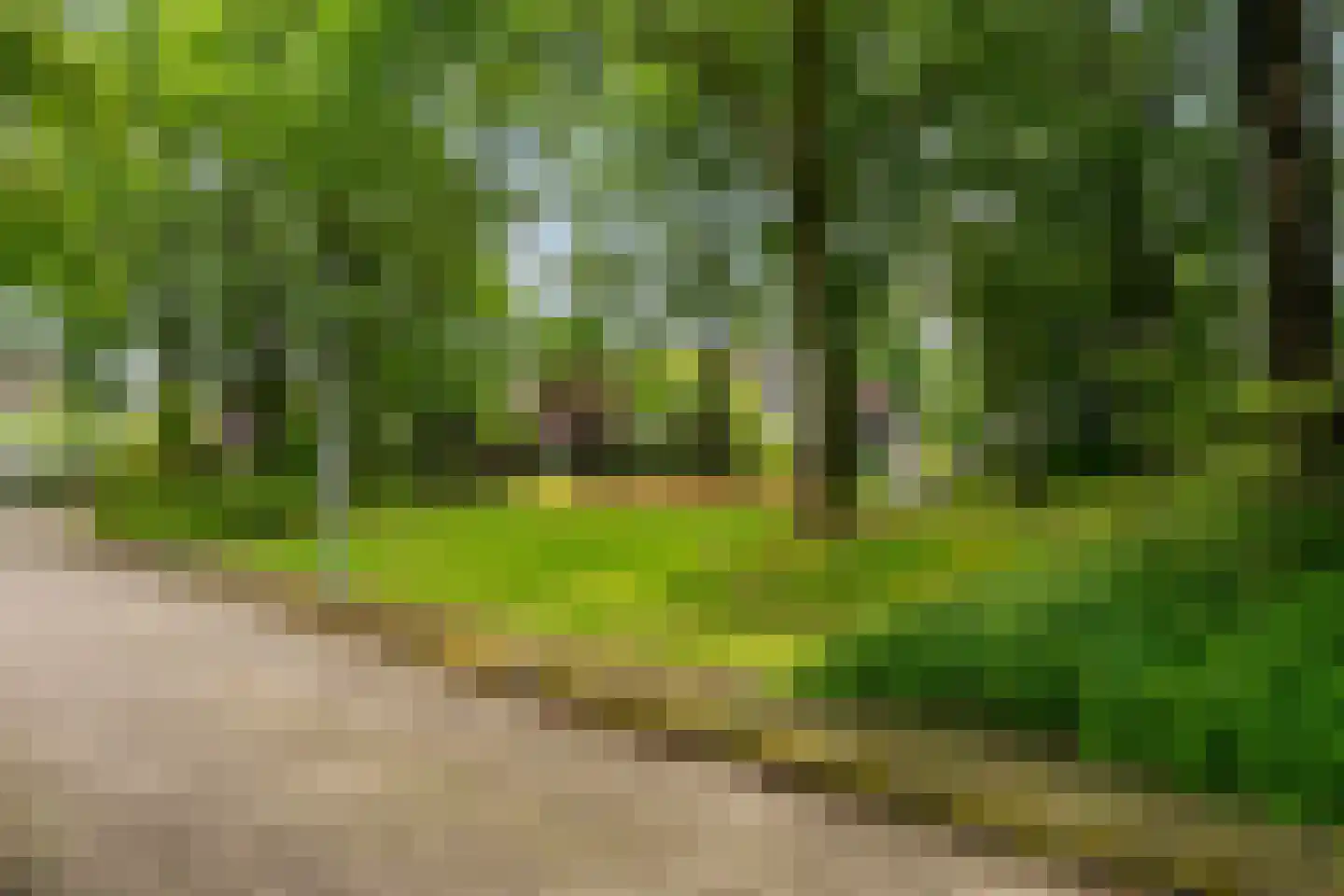 Stormvloed 8 Hoofddorp thumbnail 53