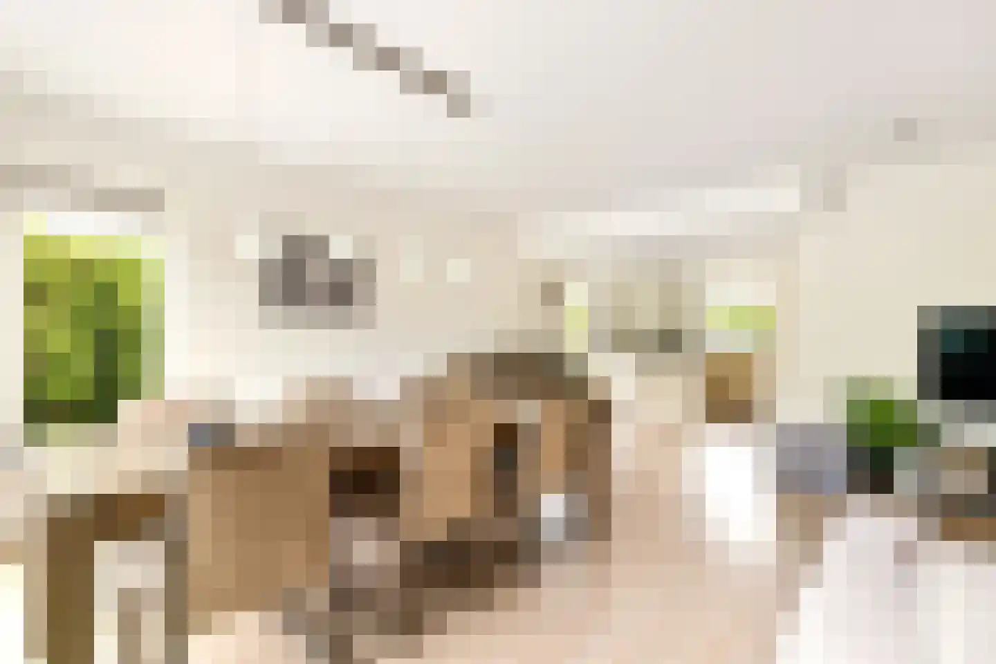 Stormvloed 8 Hoofddorp thumbnail 8