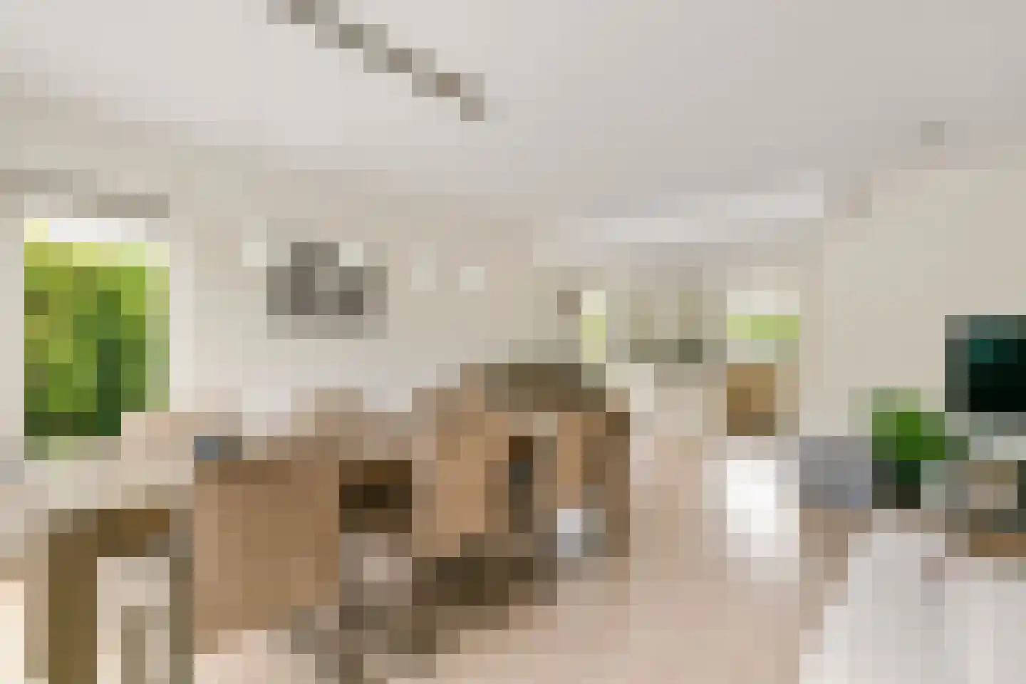 Stormvloed 8 Hoofddorp thumbnail 9