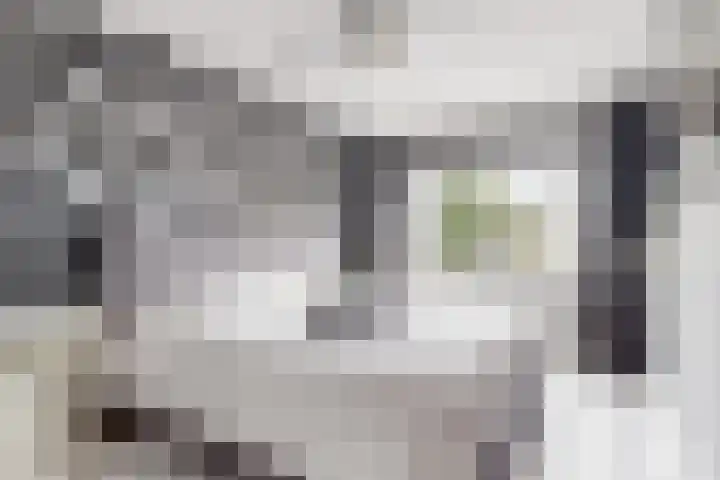 Stormvogel 11 Nieuwegein thumbnail 19