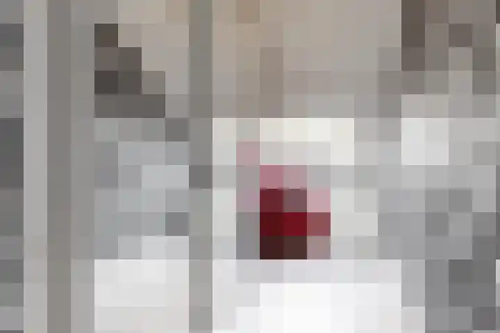Stormvogel 11 Nieuwegein thumbnail 21