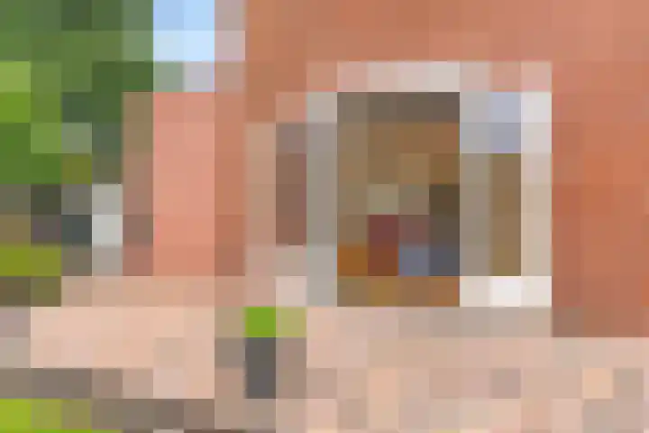 Stormvogel 11 Nieuwegein thumbnail 31