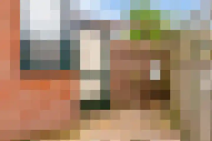 Stormvogel 11 Nieuwegein thumbnail 32