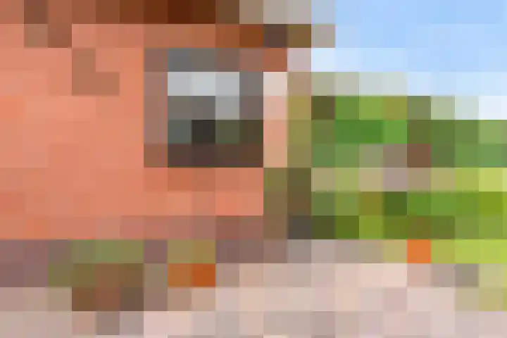 Stormvogel 11 Nieuwegein thumbnail 33