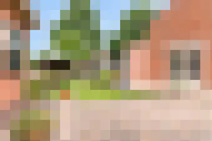 Stormvogel 11 Nieuwegein thumbnail 35