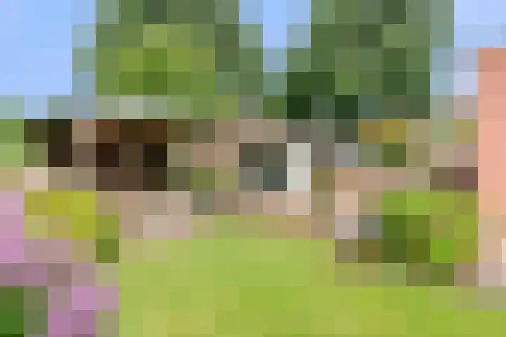 Stormvogel 11 Nieuwegein thumbnail 37