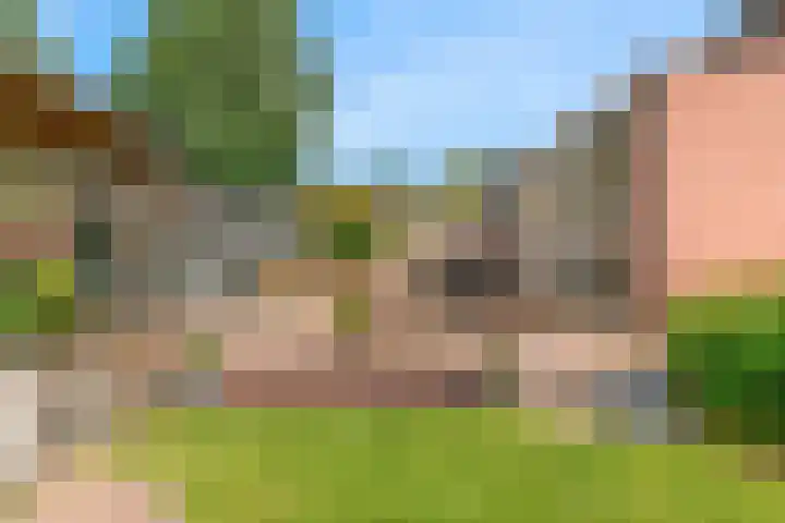 Stormvogel 11 Nieuwegein thumbnail 38