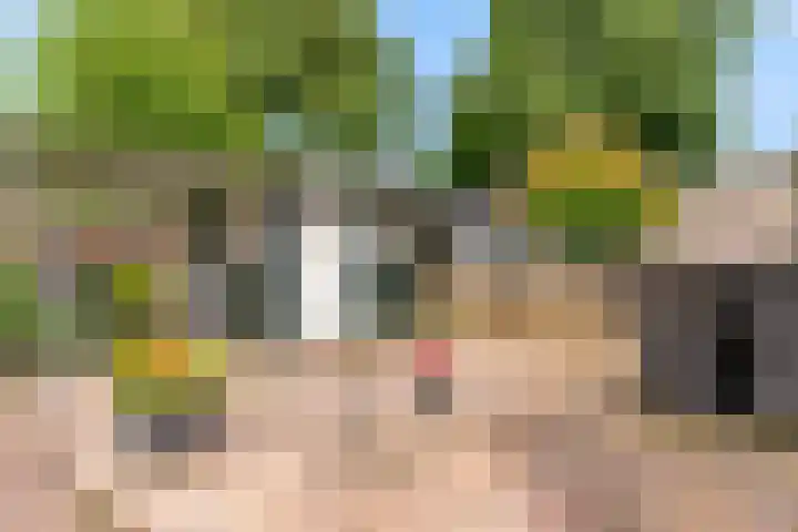 Stormvogel 11 Nieuwegein thumbnail 39