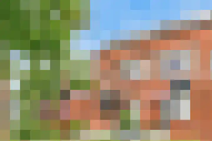 Stormvogel 11 Nieuwegein thumbnail 4