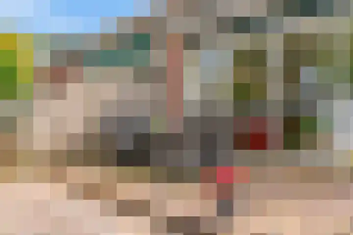 Stormvogel 11 Nieuwegein thumbnail 42
