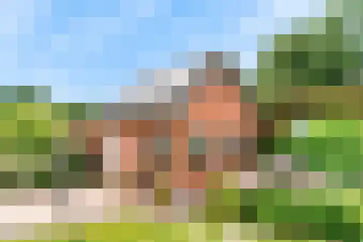 Stormvogel 11 Nieuwegein thumbnail 47