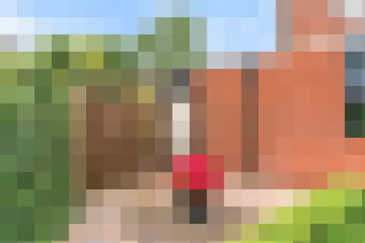 Stormvogel 11 Nieuwegein thumbnail 48