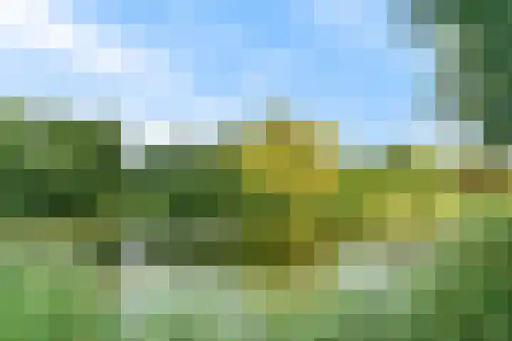 Stormvogel 11 Nieuwegein thumbnail 50