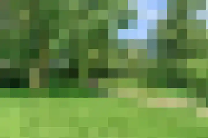 Stormvogel 11 Nieuwegein thumbnail 51