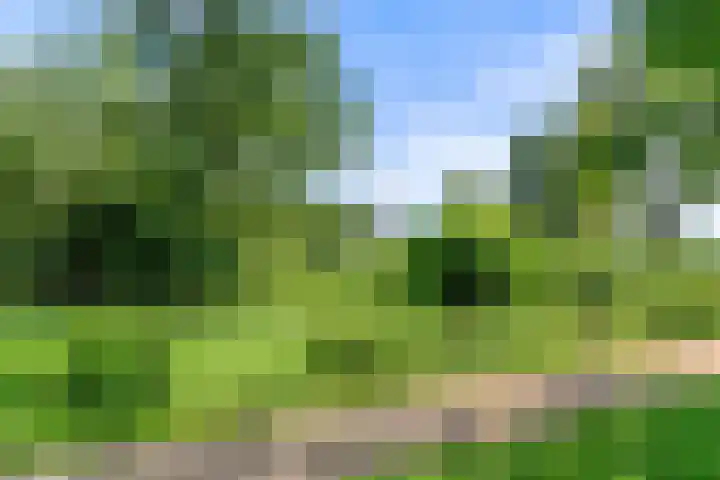 Stormvogel 11 Nieuwegein thumbnail 52