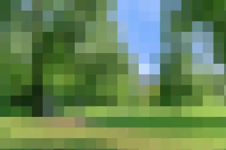 Stormvogel 11 Nieuwegein thumbnail 53