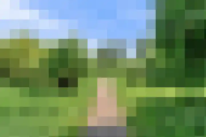 Stormvogel 11 Nieuwegein thumbnail 54