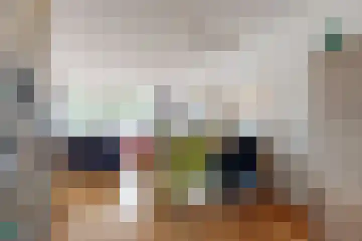 Stormvogel 11 Nieuwegein thumbnail 9