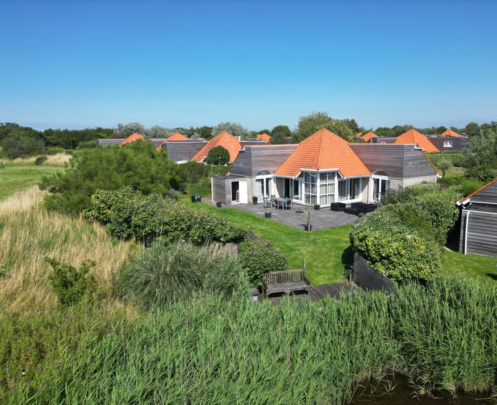 Stormvogel 16 in Zoutelande Foto