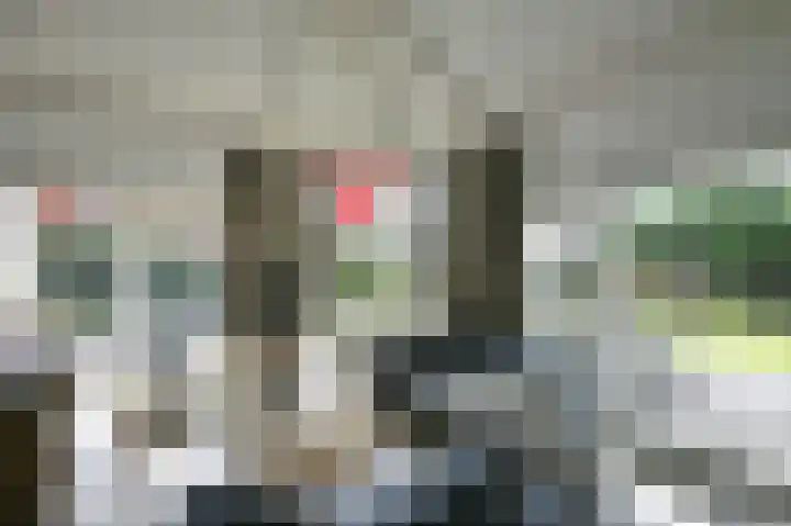 Stormvogel 16 Zoutelande thumbnail 12