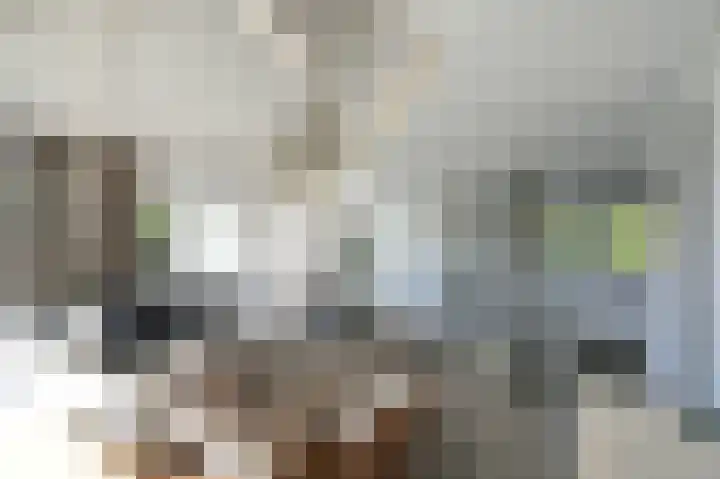 Stormvogel 16 Zoutelande thumbnail 13