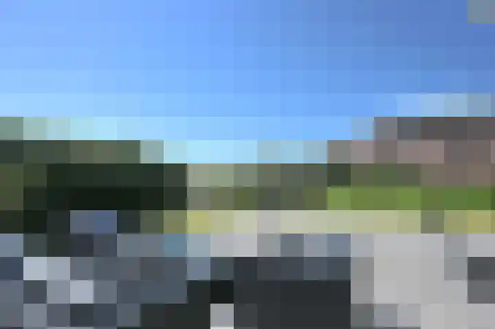 Stormvogel 16 Zoutelande thumbnail 17