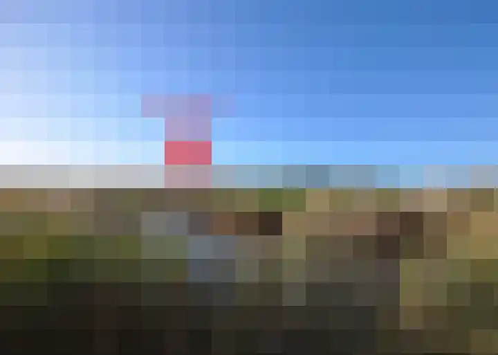 Stormvogel 16 Zoutelande thumbnail 23