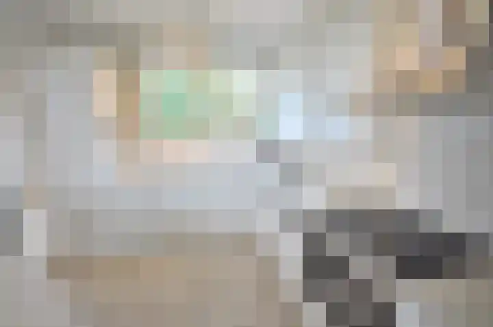 Stormvogel 16 Zoutelande thumbnail 24