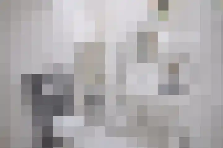 Stormvogel 16 Zoutelande thumbnail 32