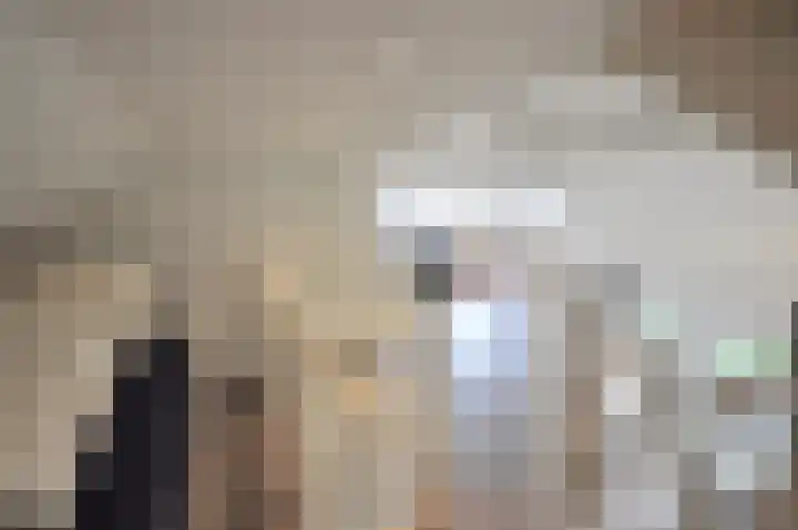 Stormvogel 16 Zoutelande thumbnail 33