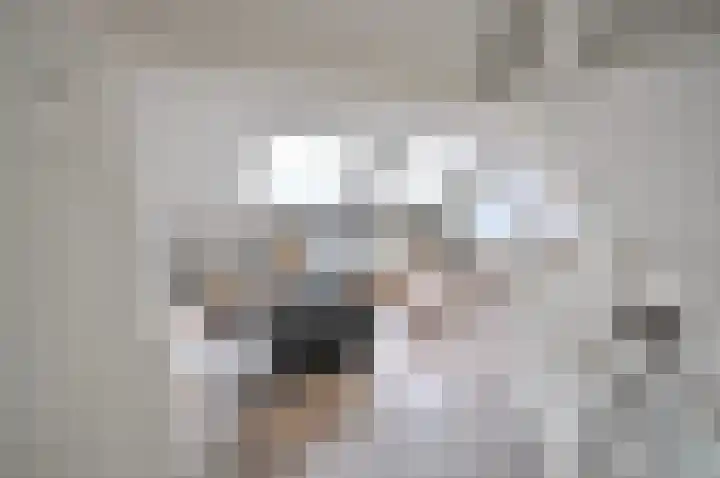 Stormvogel 16 Zoutelande thumbnail 35