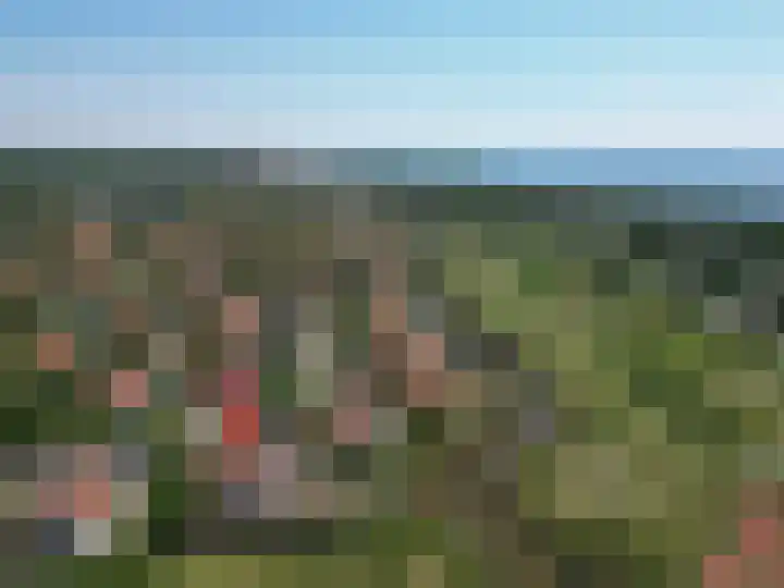 Stormvogel 16 Zoutelande thumbnail 4