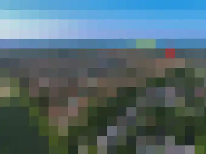 Stormvogel 16 Zoutelande thumbnail 40