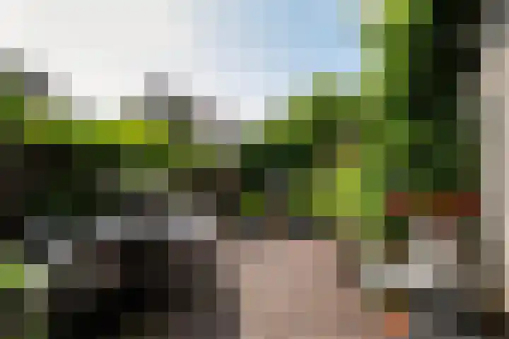 Stormvogel 5 Monster thumbnail 12