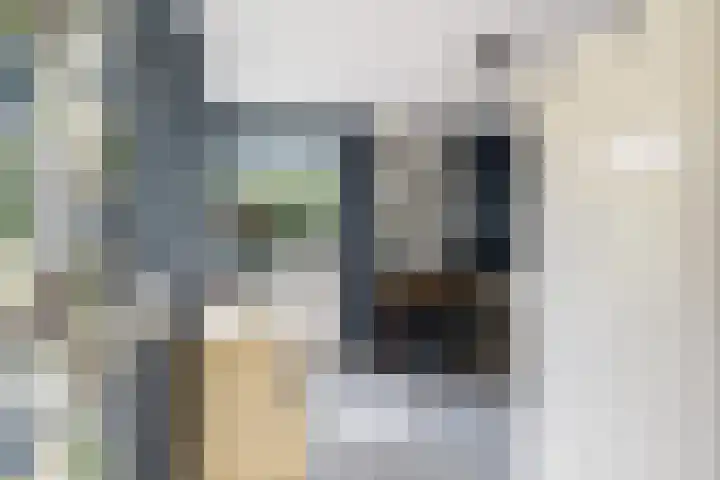 Stormvogel 5 Monster thumbnail 16