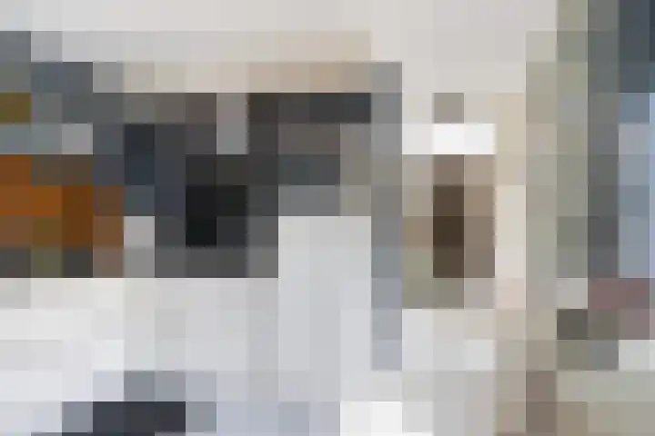 Stormvogel 5 Monster thumbnail 18