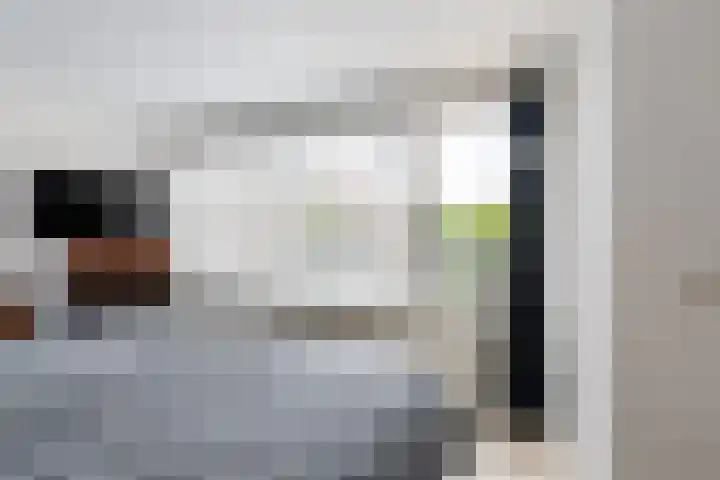 Stormvogel 5 Monster thumbnail 24