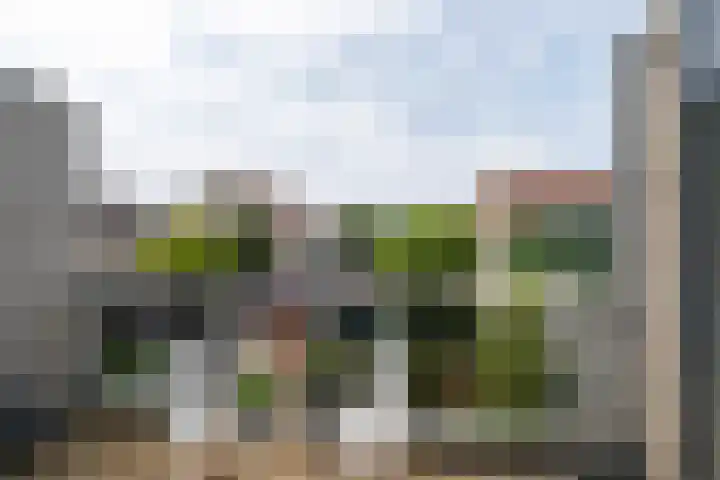 Stormvogel 5 Monster thumbnail 25
