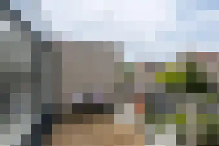 Stormvogel 5 Monster thumbnail 26