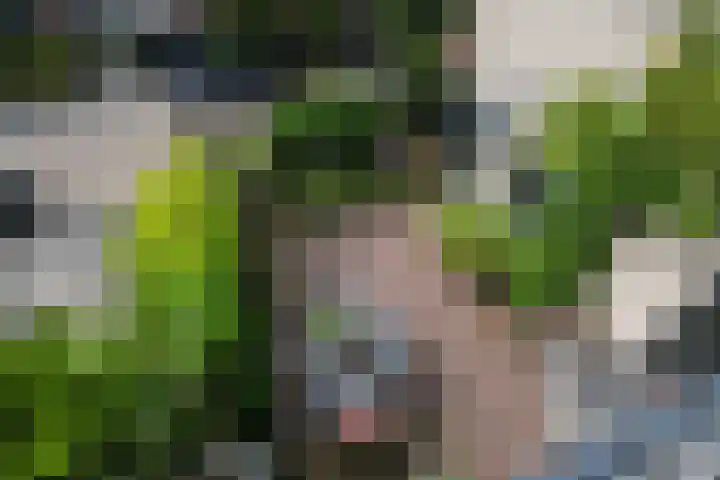 Stormvogel 5 Monster thumbnail 28